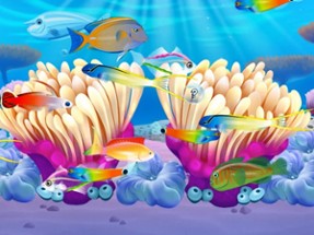 Fish Paradise - Aquarium Live Image