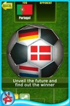 Fortune FootBALL: EURO 2012 Image