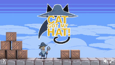 Cat Got My Hat! Image