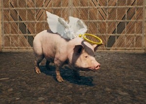 Happy Pig Image