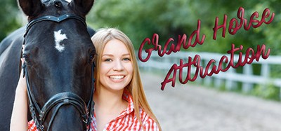 Grand horse attraction Image