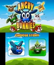 Angry Bunnies Image