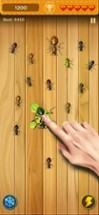 Bugs Smasher - Protect houses Image