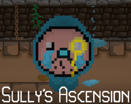 Sully's Ascension Image