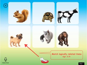 Pair By Nature - Match logically related items Image