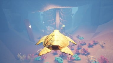 Turtle Racer Image