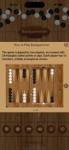 Backgammon+ Image