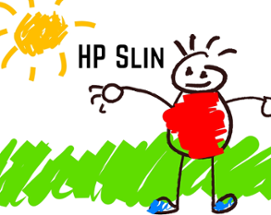 HP Slin Image