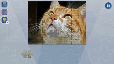 Jigsaw Puzzle Fever Image