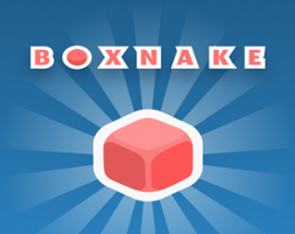 Boxnake Image