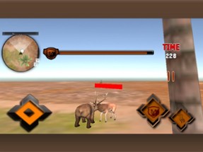 Bear Simulator - Predator Hunting Games Image