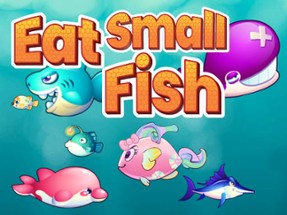 Eat Small Fish Image
