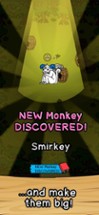 Monkey Evolution Merge Image