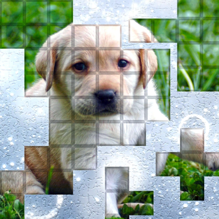 PicPu Dog Puzzle Game Cover