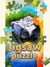 Puzzle ∙ Image