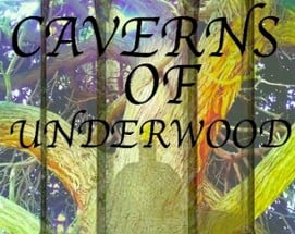 Caverns Of Underwood Image