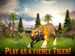 Adventures of Wild Tiger Image