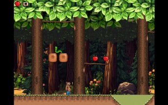 Grizzly Bear Platformer Image