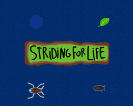 Striding For LIFE Image