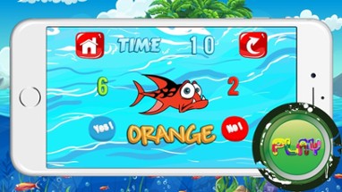 Yes or No Fish Aquarium Animals Puzzle Color Tests Image