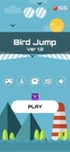 Bird Jump! Image