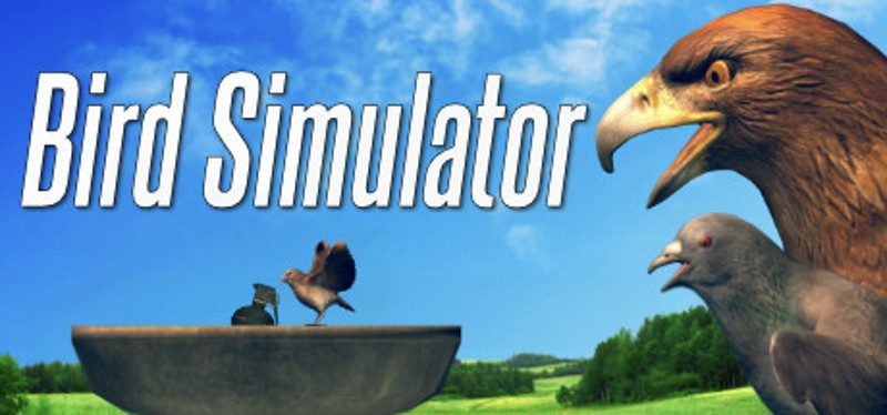 Bird Simulator Game Cover