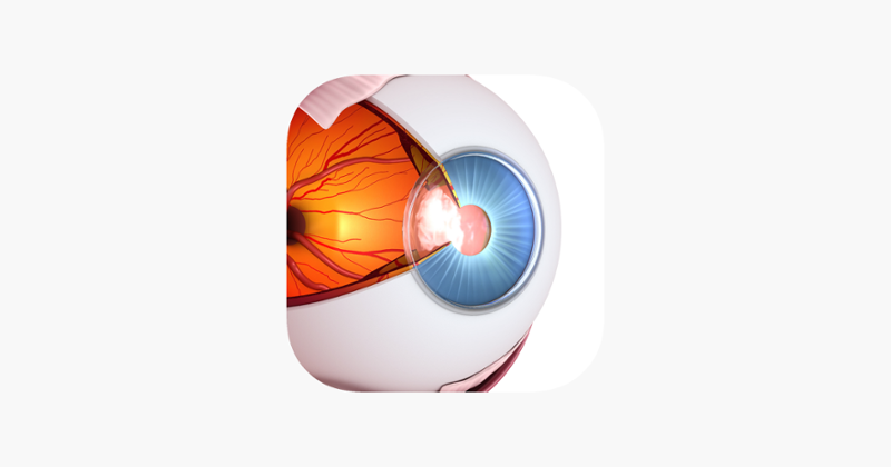 Vision Workout : Eye Training Game Cover