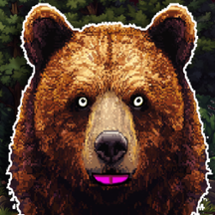 Grizzly Bear Platformer Image