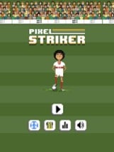 Pixel Striker Image