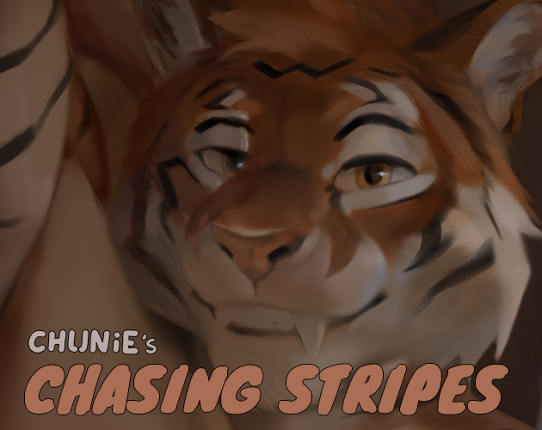 Chasing Stripes 3 Game Cover