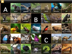 ABC Animals - Your Alphabet Letters Mini Adventure Image