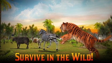 Adventures of Wild Tiger Image