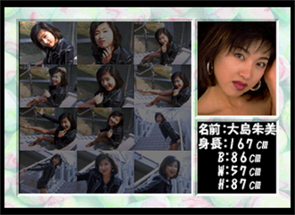 Private Idol Disc Vol. 3: Oshima Akemi Image