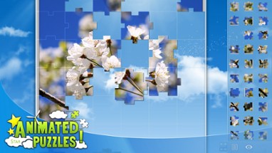 Animated Puzzles Image