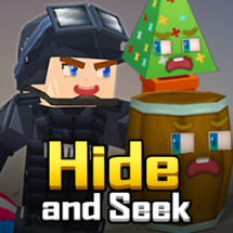 Hide and Seek Image