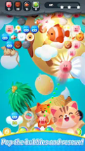 Bubble Shooter : Animals Pop Image