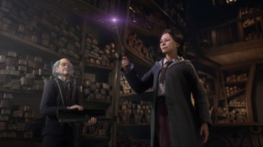 Hogwarts Legacy Image