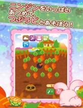 Tsubu-rabi! - The free cute rabbit collection game Image