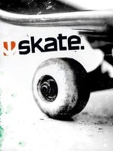 Skate Image