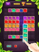 Block Jewel-Block Puzzle Games Image