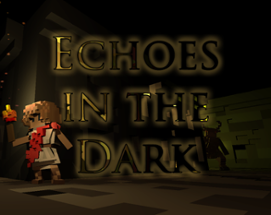 Echoes In The Dark Image