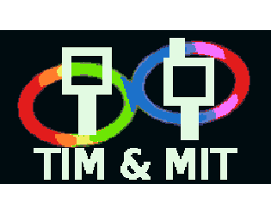 TIM&MIT Image
