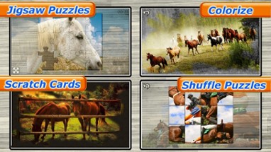 Mighty Horses - Real Horse Picture Puzzle Games for kids Image