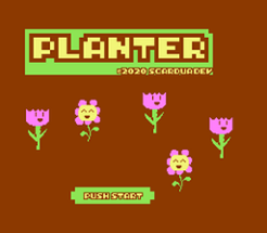 Planter Image