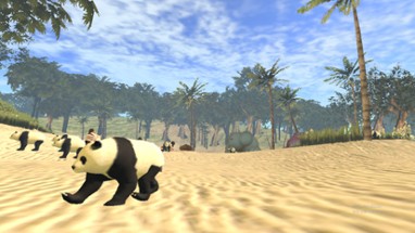 VR World of Pandas Image