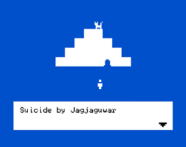 Suicide by Jagjaguwar Image