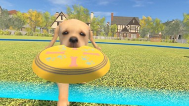 Dream Pet VR Image