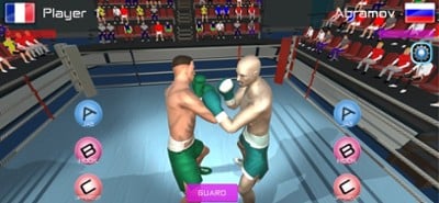 Summer Games Boxing Image