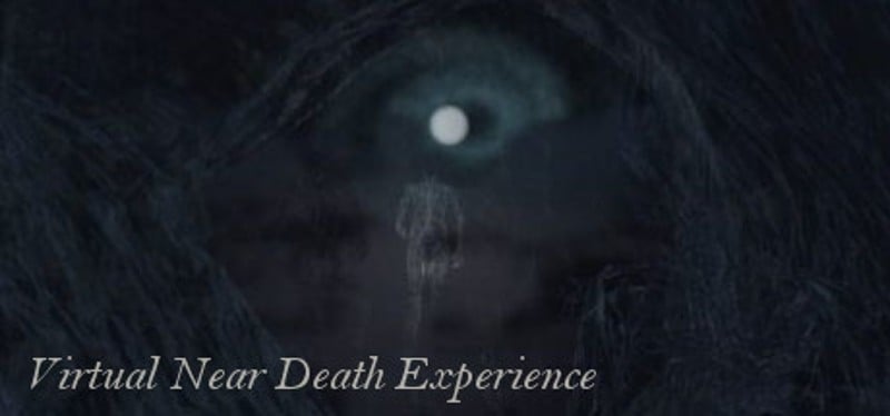 Virtual Near Death Experience Game Cover