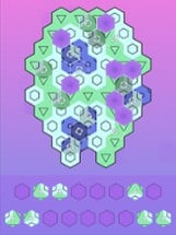 Aurora Hex: Pattern Puzzles Image